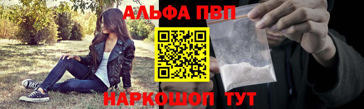 Alfa_PVP СК Воронеж