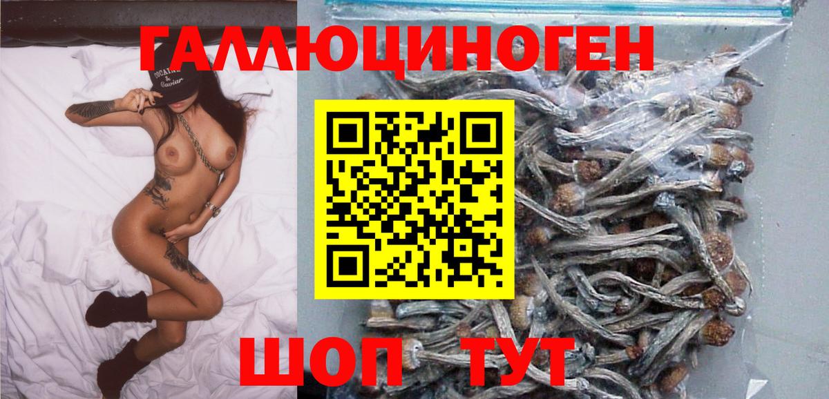 Галлюциногенные грибы Magic Shrooms Воронеж