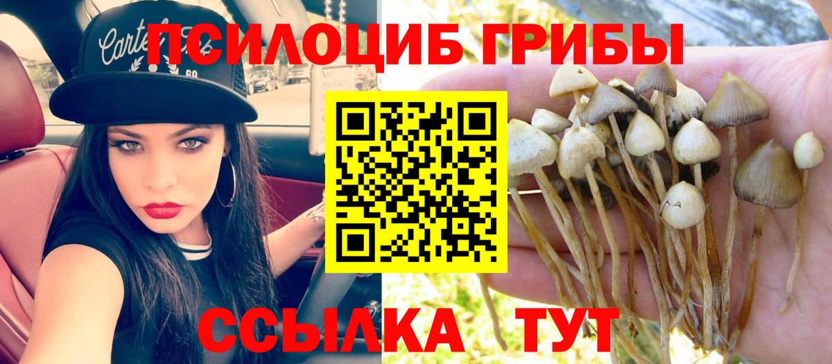Воронеж  Галлюциногенные грибы Psilocybine cubensis  Вход с VPN 
